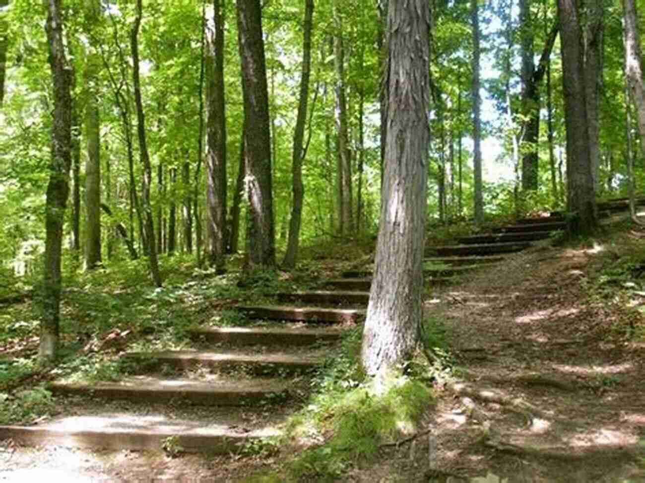 A Photographic Journey Of Hamilton County Parks Beauty Captured In Frames Hamilton County Parks (Images Of America)