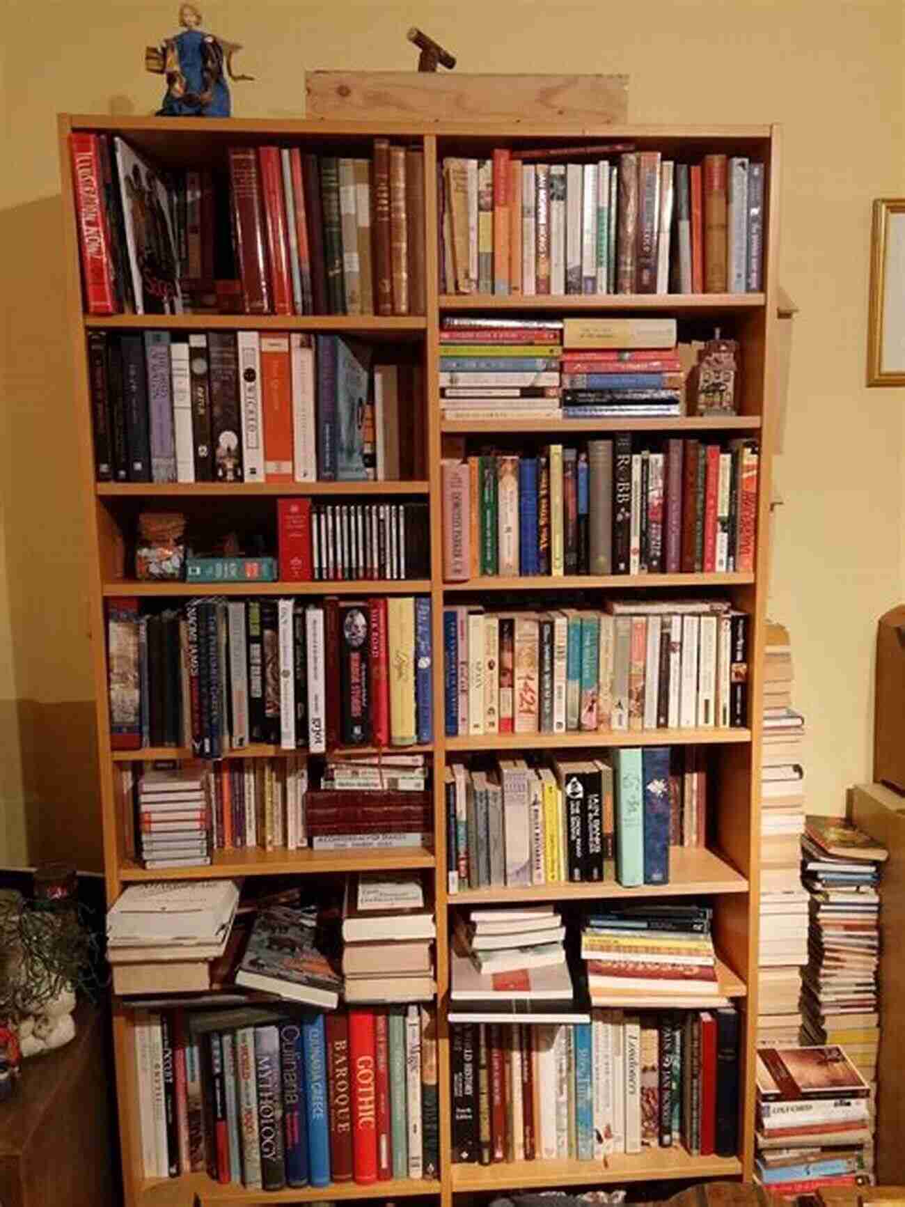 A Bookshelf Filled With Books Related To Madness A Note Of Madness (Definitions)