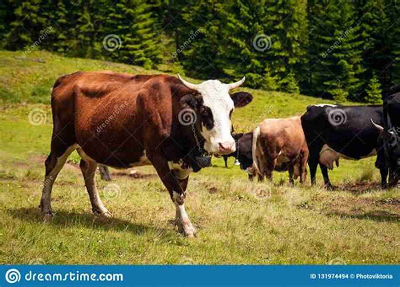 A Farmer With His Livestock On A Sunny Day In A Lush Green Pasture Raising Goats For Beginners: A Comprehensive Guide To Learning How To Breed Manage And Market Livestock For Beginners