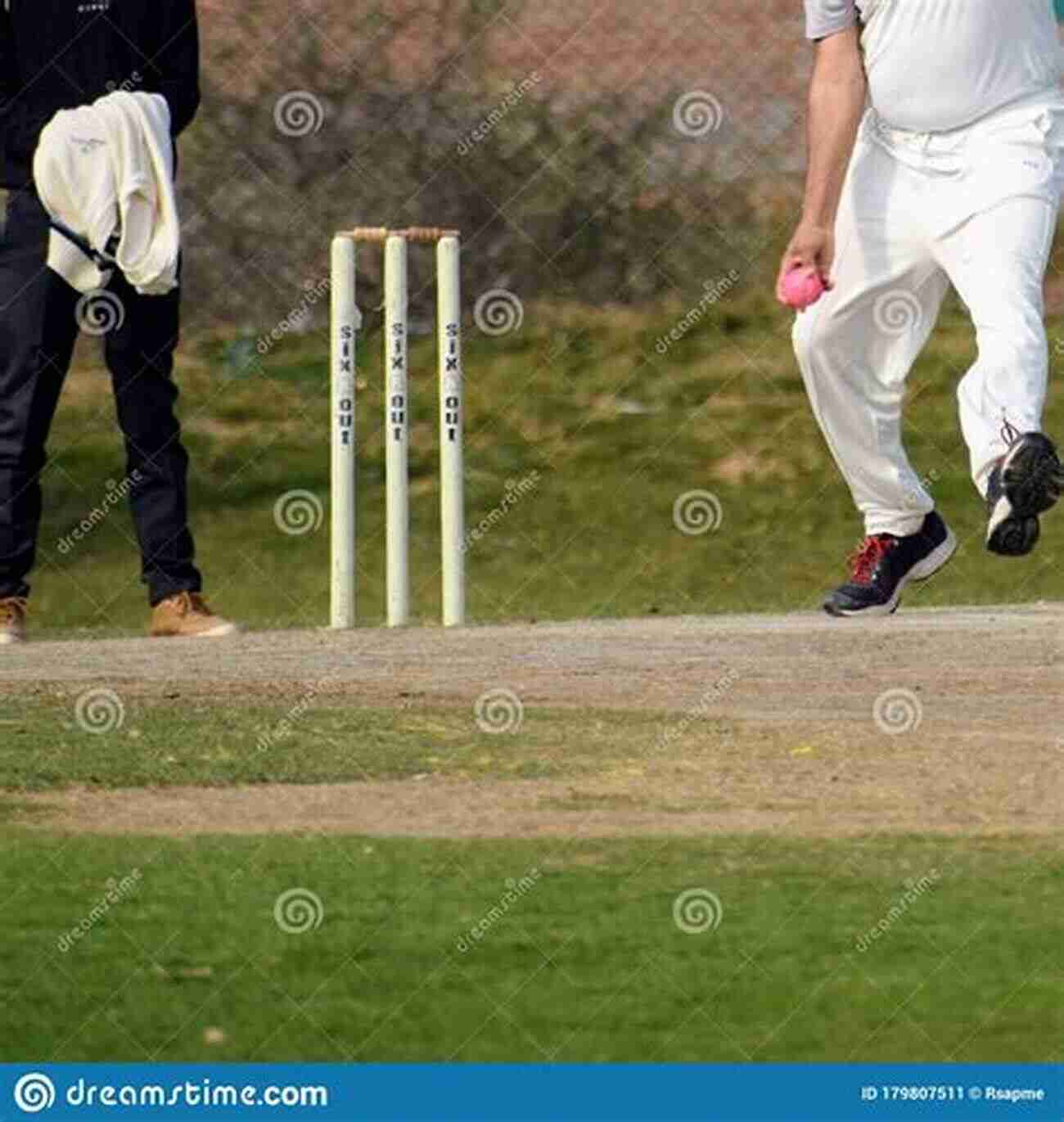 A Group Of Cricketers In Action At A Sunny Cricket Ground For The Love Of Cricket: Haiku Poems Inspired By The Summer Game