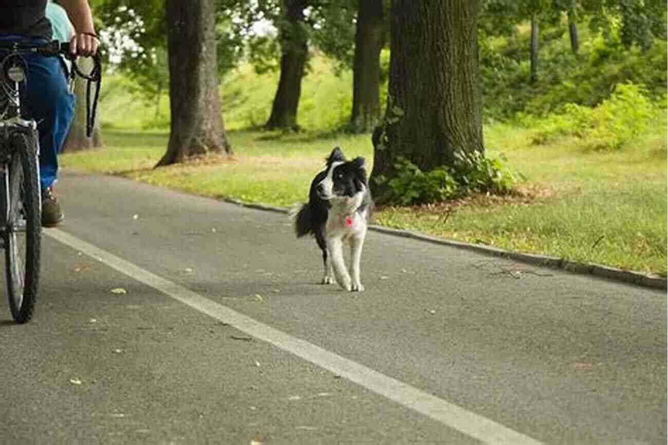 A Loyal And Friendly Dog Sitting In A Lush Green Field The Dog Its Domestication And Behavior