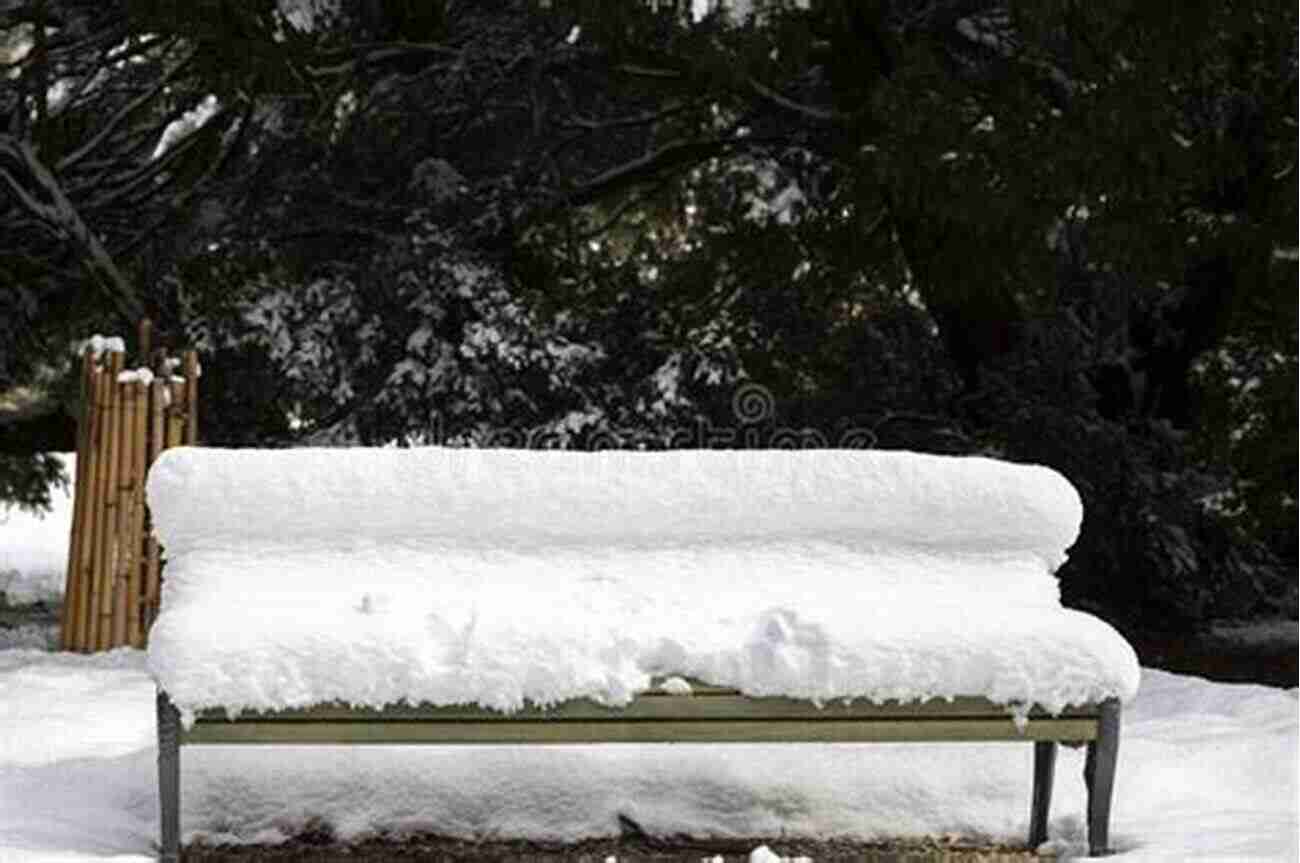 A Navy Blue Weatherproof Bench Pillow Covered In Snow, Creating A Wintery Scene On An Outdoor Bench Bench Pillows For All Seasons