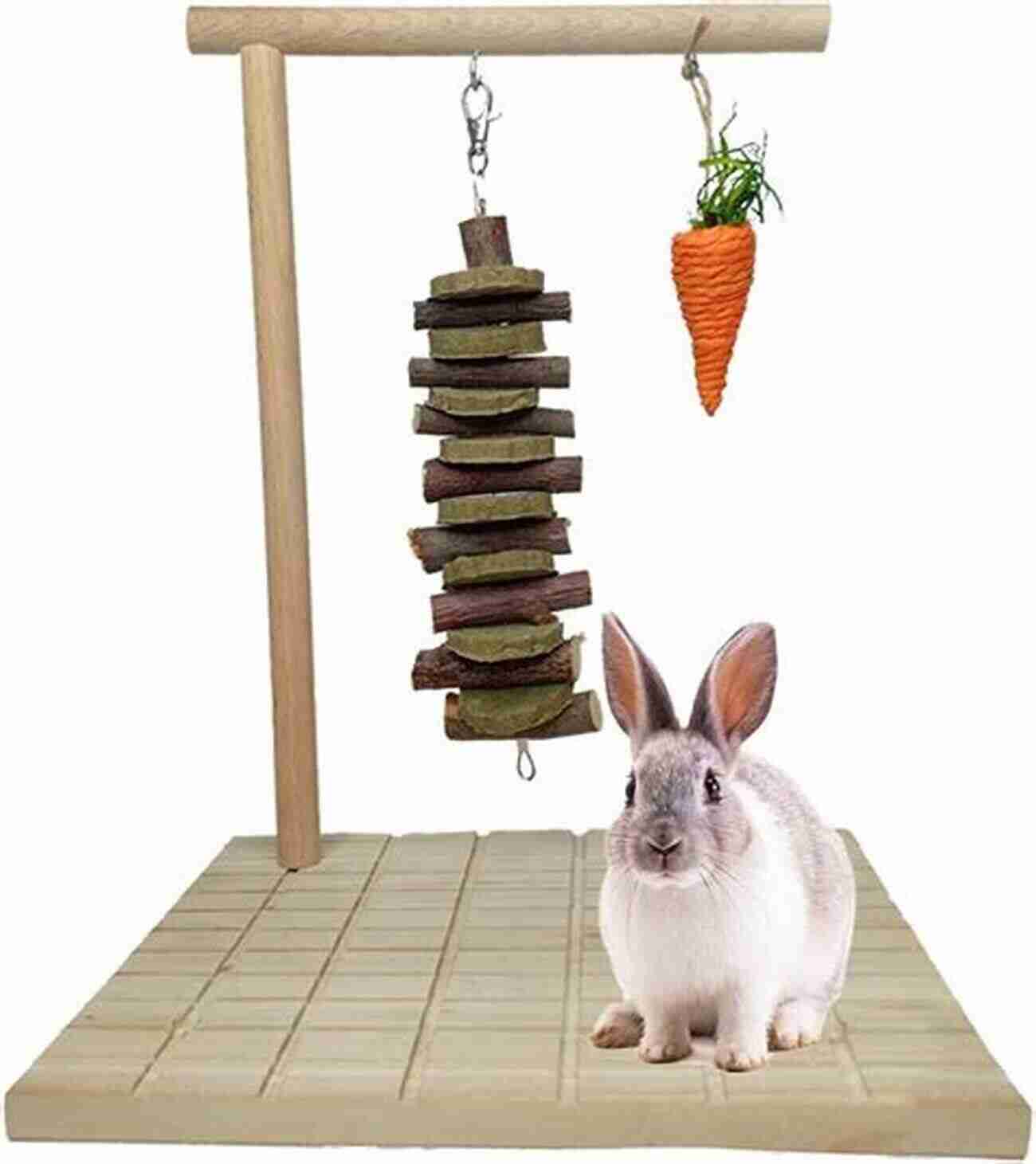 A Rabbit Gnawing On A Wooden Chew Toy Understanding Your Rabbit S Habits Tamsin Stone