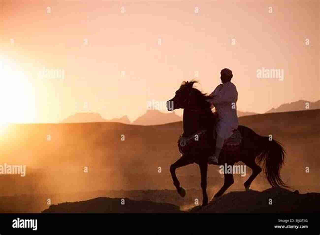 A Rider On A Horse Silhouetted Against A Breathtaking Sunset The Horse In My Heart