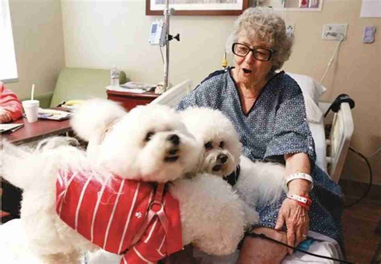 A Therapy Dog Comforting A Patient In A Hospital Animal Magic: The Extraordinary Proof Of Our Pets Intuition And Unconditional Love For Us