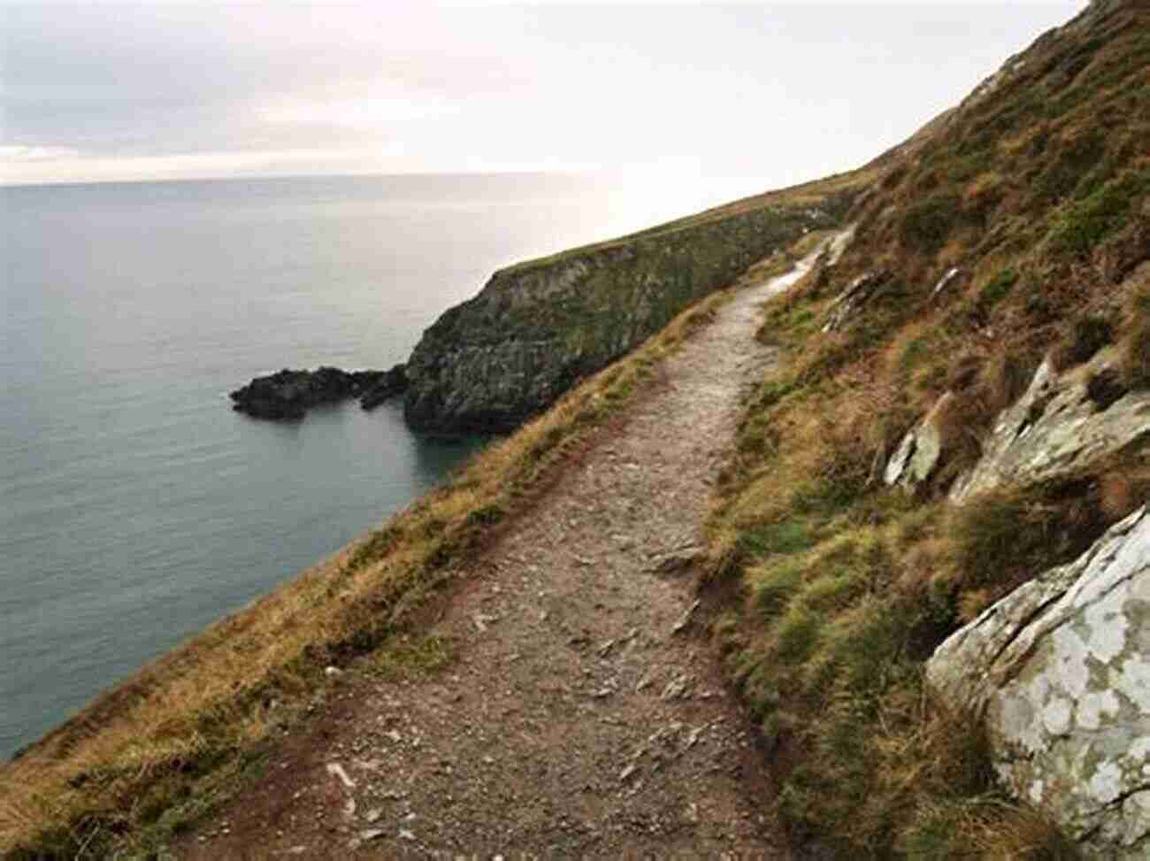 Admiring The Stunning Cliffs During The Howth Cliff Walk East Of Ireland Walks (A Walking Guide)