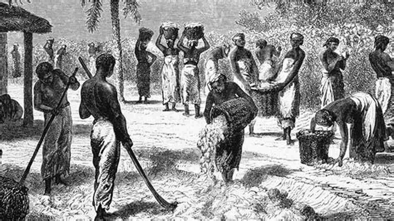 African American Slaves Working On A Plantation During The 19th Century The Irony Of American History