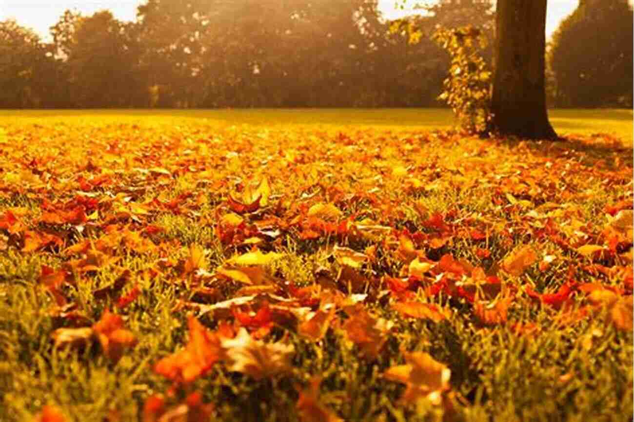 Almost Autumn Rosie Hedger A Breathtaking Meadow With Vibrant Colors Of Red, Orange, And Yellow Leaves Falling From Trees Almost Autumn Rosie Hedger