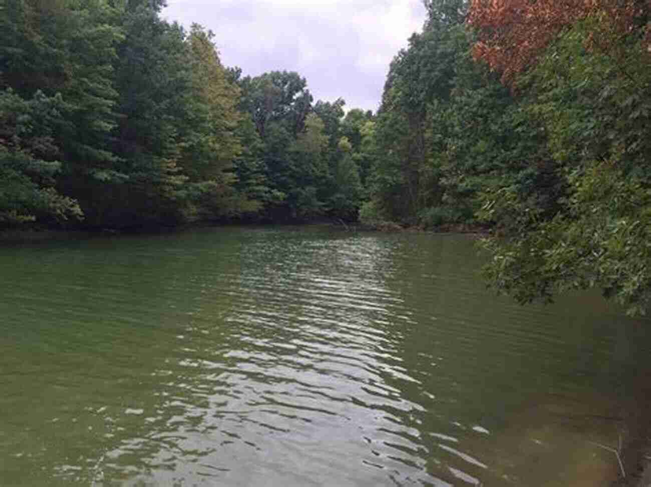 Alum Creek State Park A Haven For Bass Fishing Fishing Ohio: An Angler S Guide To Over 200 Fishing Spots In The Buckeye State