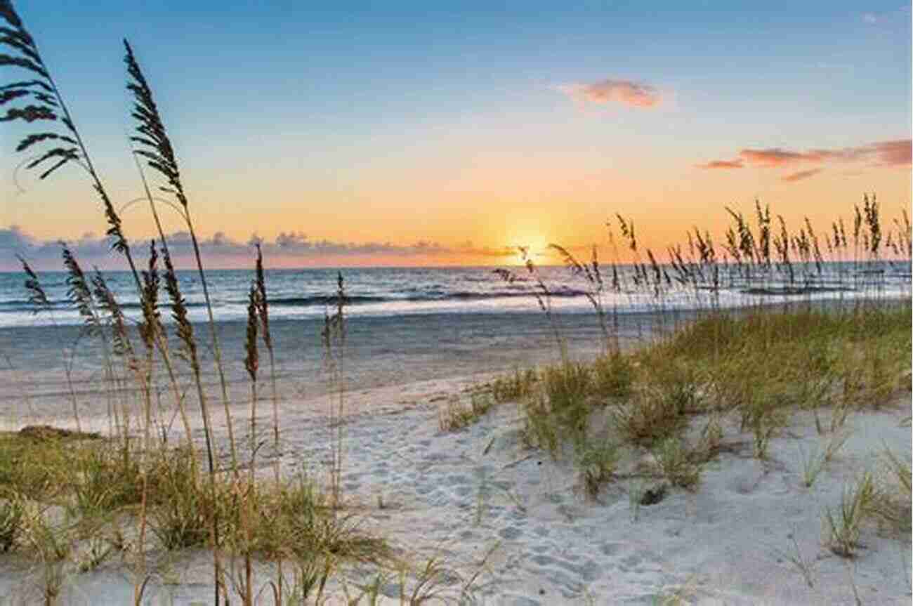 Amelia Island Beach, Florida A Historical Treasure Awaits! The Treasure Of Amelia Island (Florida Historical Fiction For Youth)