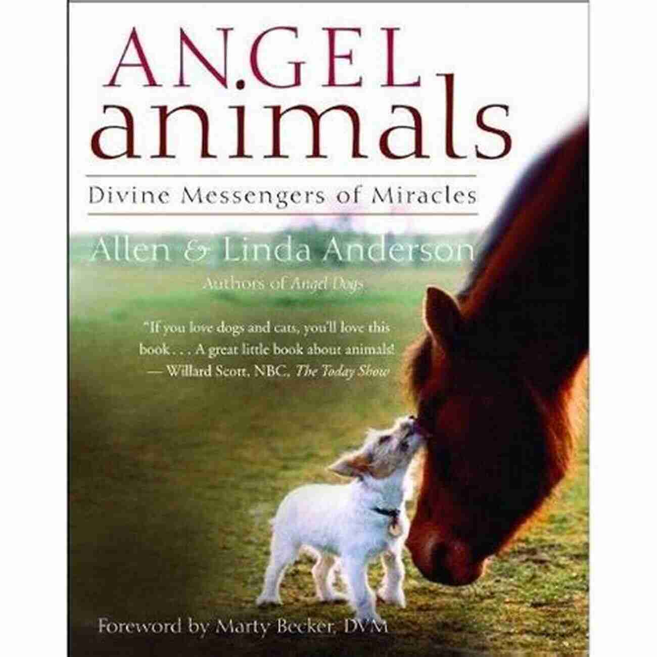 Angel Animals Linda Anderson