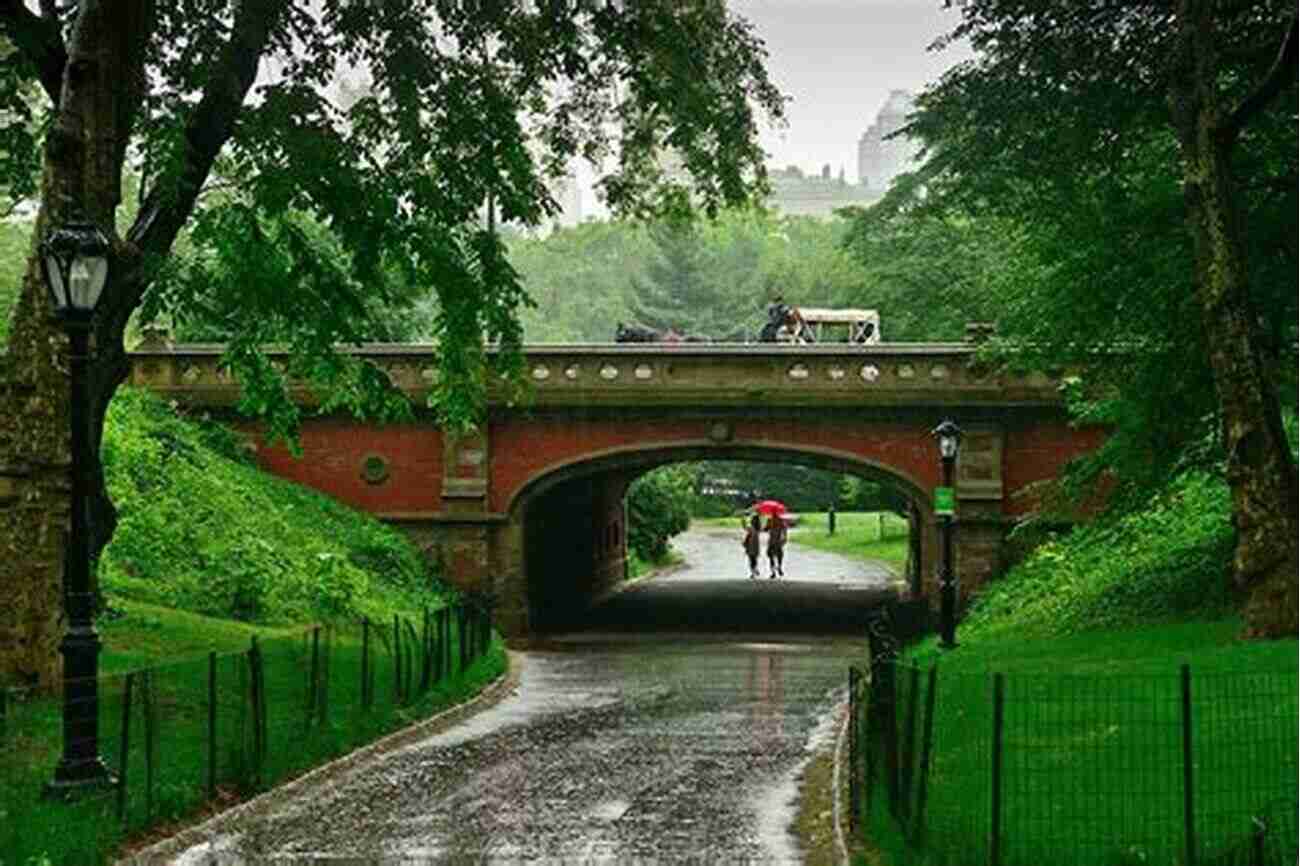 As It Rains In Central Park Discover The Magic Beneath The Raindrops As It Rains In Central Park: Original Sheet Music