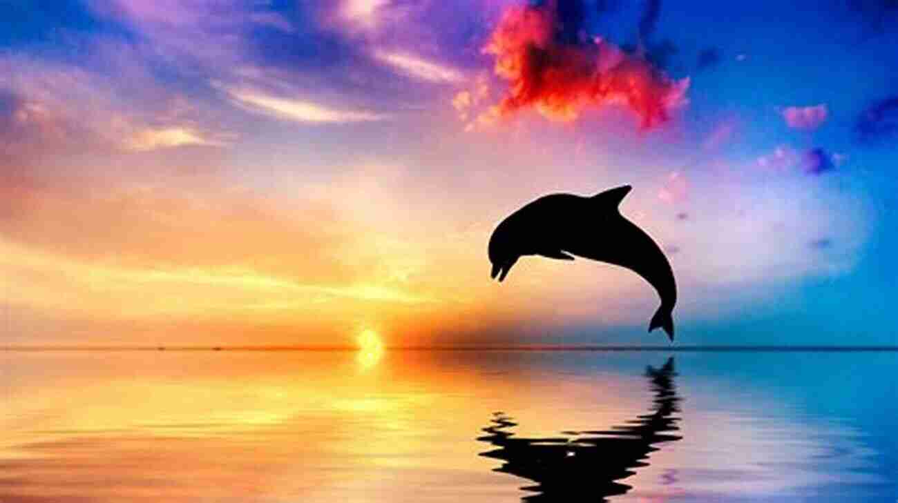 Beautiful Dolphin Jumping In The Ocean Dolphins Facts And Information: Fun And Amazing Facts About Dolphin