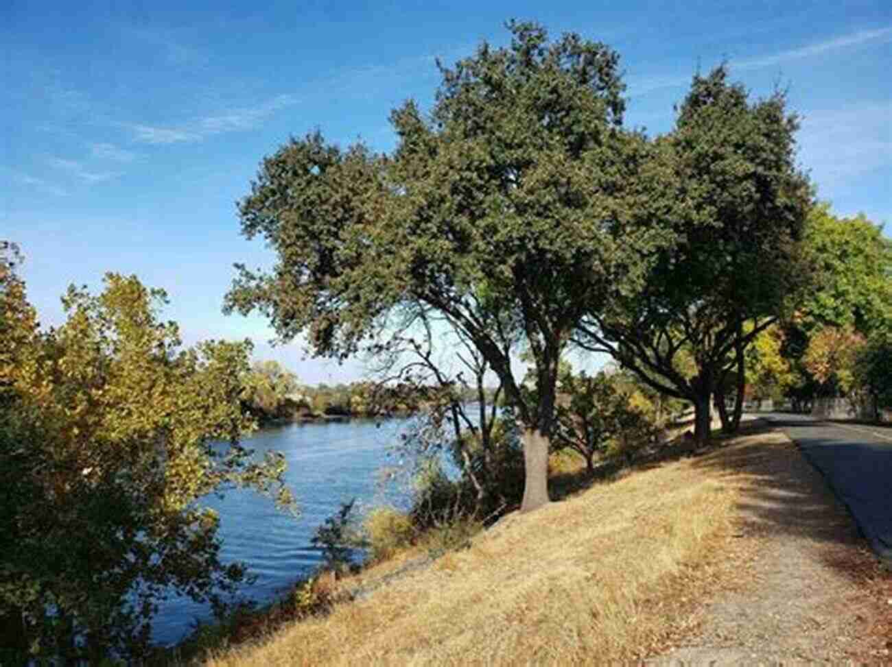 Beautiful View Of A Hiking Trail In Sacramento Top Trails: Sacramento: Must Do Hikes For Everyone