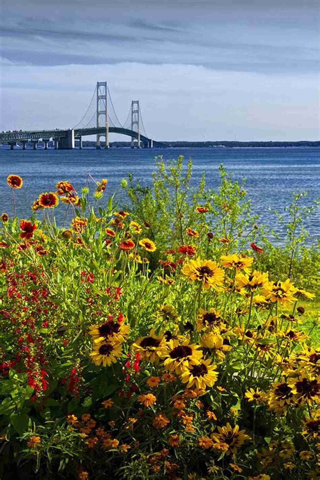 Blossoming Spring Flowers In The Straits Of Mackinac Region Wildflower Photo Field Guide Straits Of Mackinac Region Northern Michigan