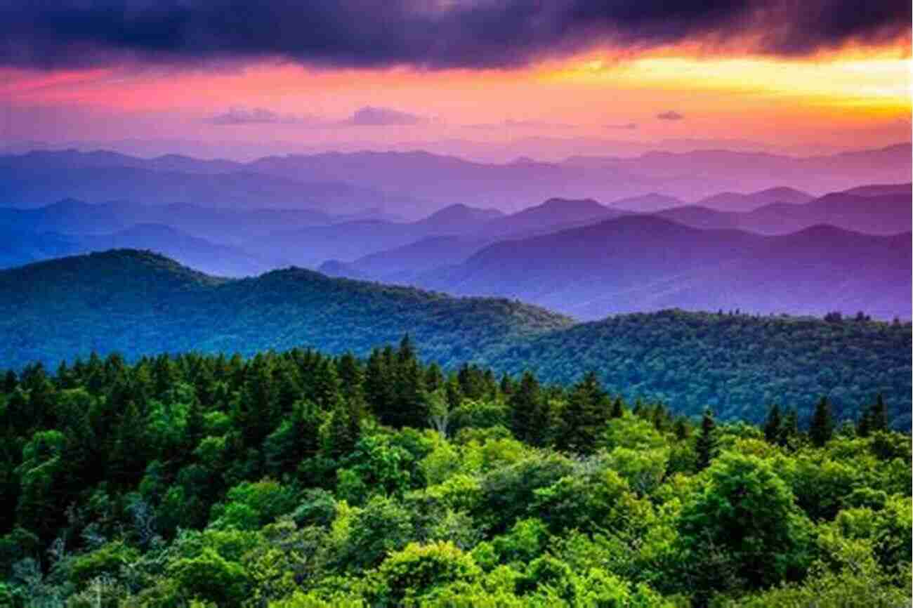 Blue Ridge Parkway Landscape Nature Guide To The Blue Ridge Parkway (Falcon Pocket Guides)