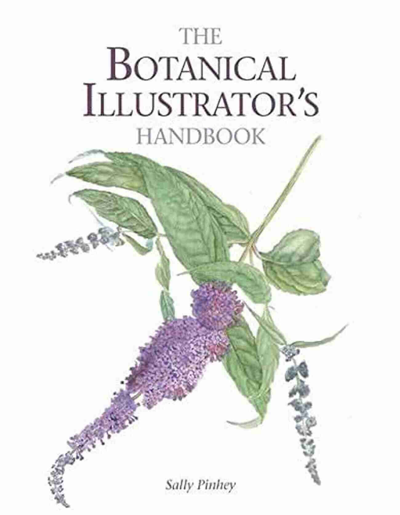 Botanical Illustrator Handbook Image By Sally Pinhey Botanical Illustrator S Handbook Sally Pinhey