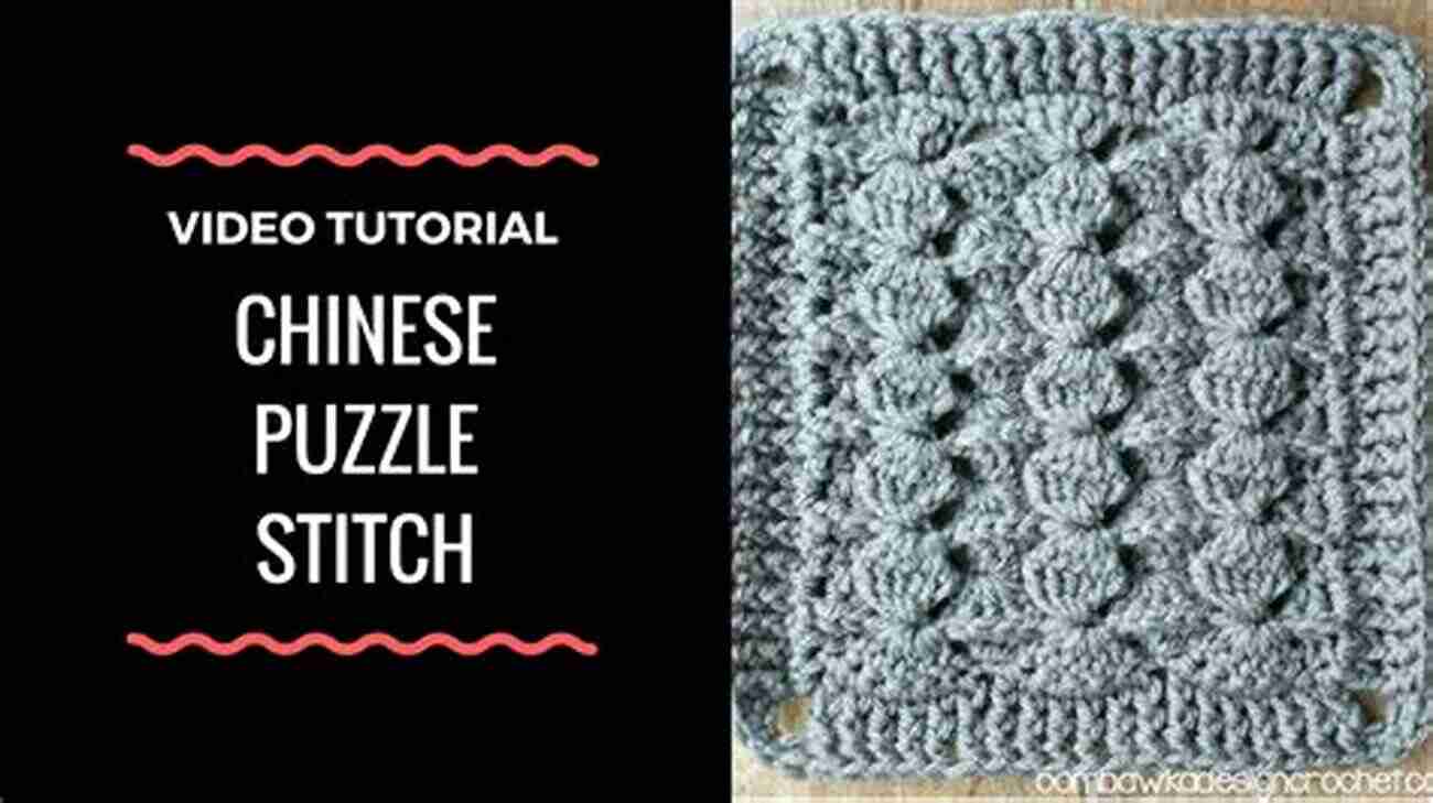 Chinese Puzzle Stitch Professional Crochet Stitch Guide: Chinese Puzzle Stitch Cable Stitch Crocodile Stitch Picot Stitch Waffle Stitch Popcorn Stitch Shell Stitch Seed (Crochet Hook A Crochet Accessories)