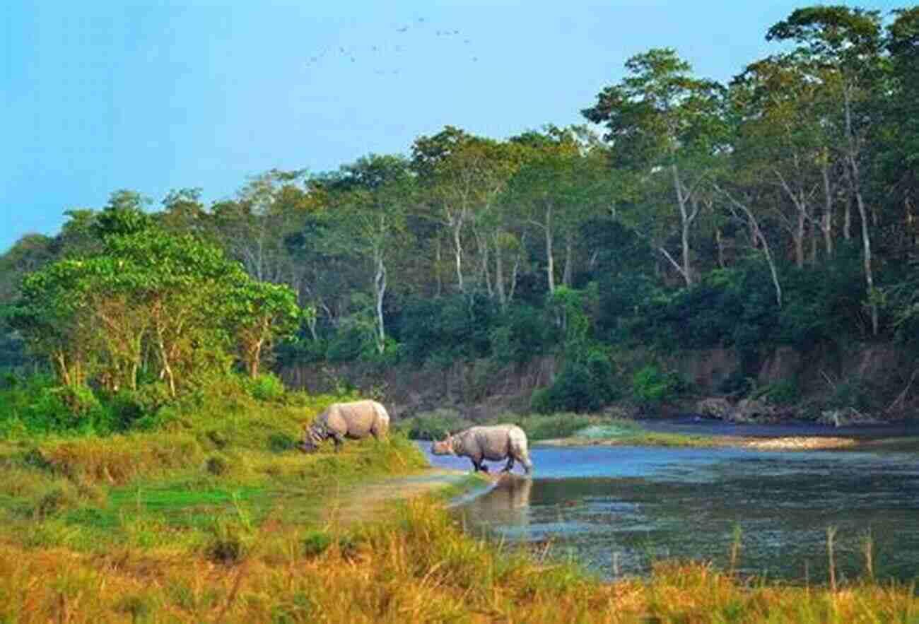 Chitwan National Park My Precious Life In Nepal