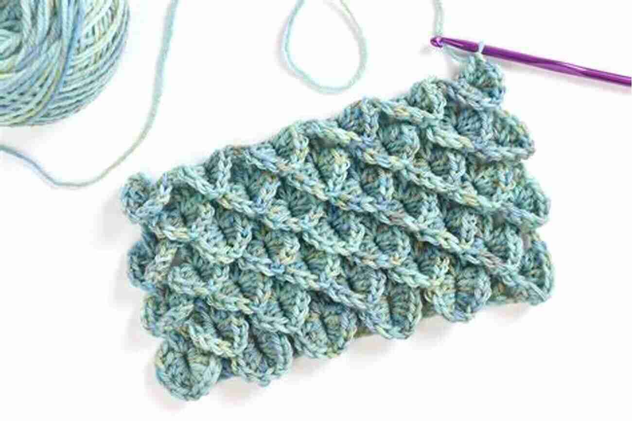 Crocodile Stitch Professional Crochet Stitch Guide: Chinese Puzzle Stitch Cable Stitch Crocodile Stitch Picot Stitch Waffle Stitch Popcorn Stitch Shell Stitch Seed (Crochet Hook A Crochet Accessories)