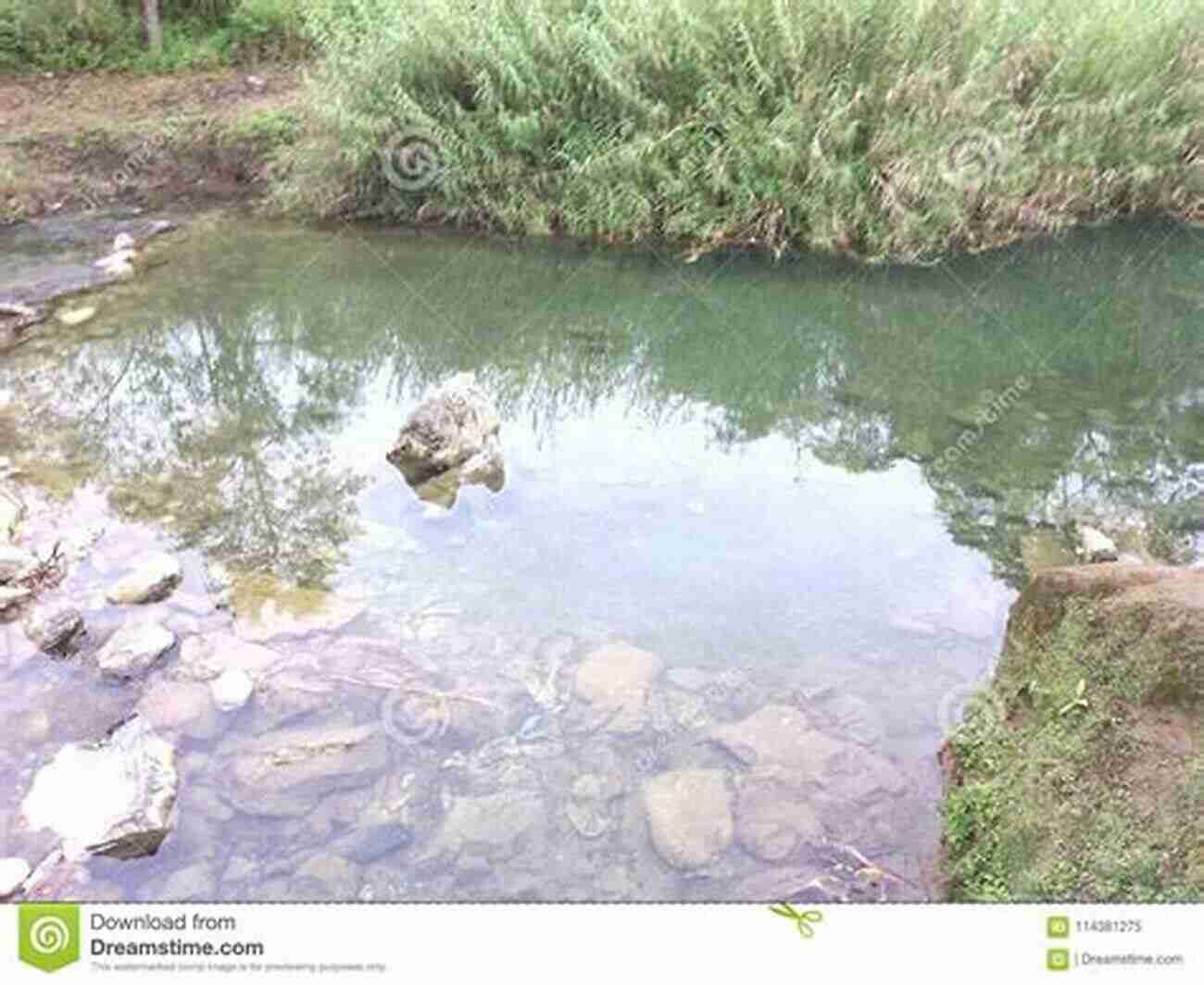 Crystal Clear Water Flowing From The Sacred Well, A Sight To Behold Water From The Sacred Well: Further Explorations In The Folklore And Mythology Of Sacred Waters