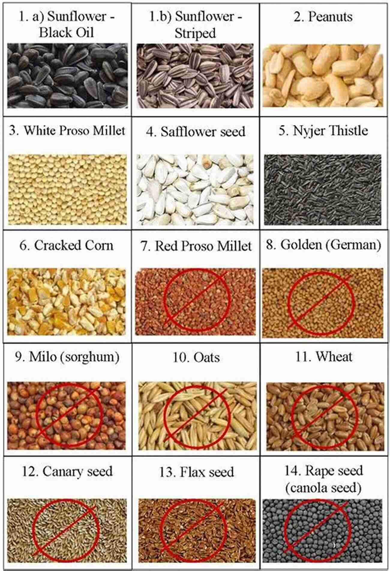 Different Types Of Bird Seeds Bird Food Recipes: Storey Country Wisdom Bulletin A 137