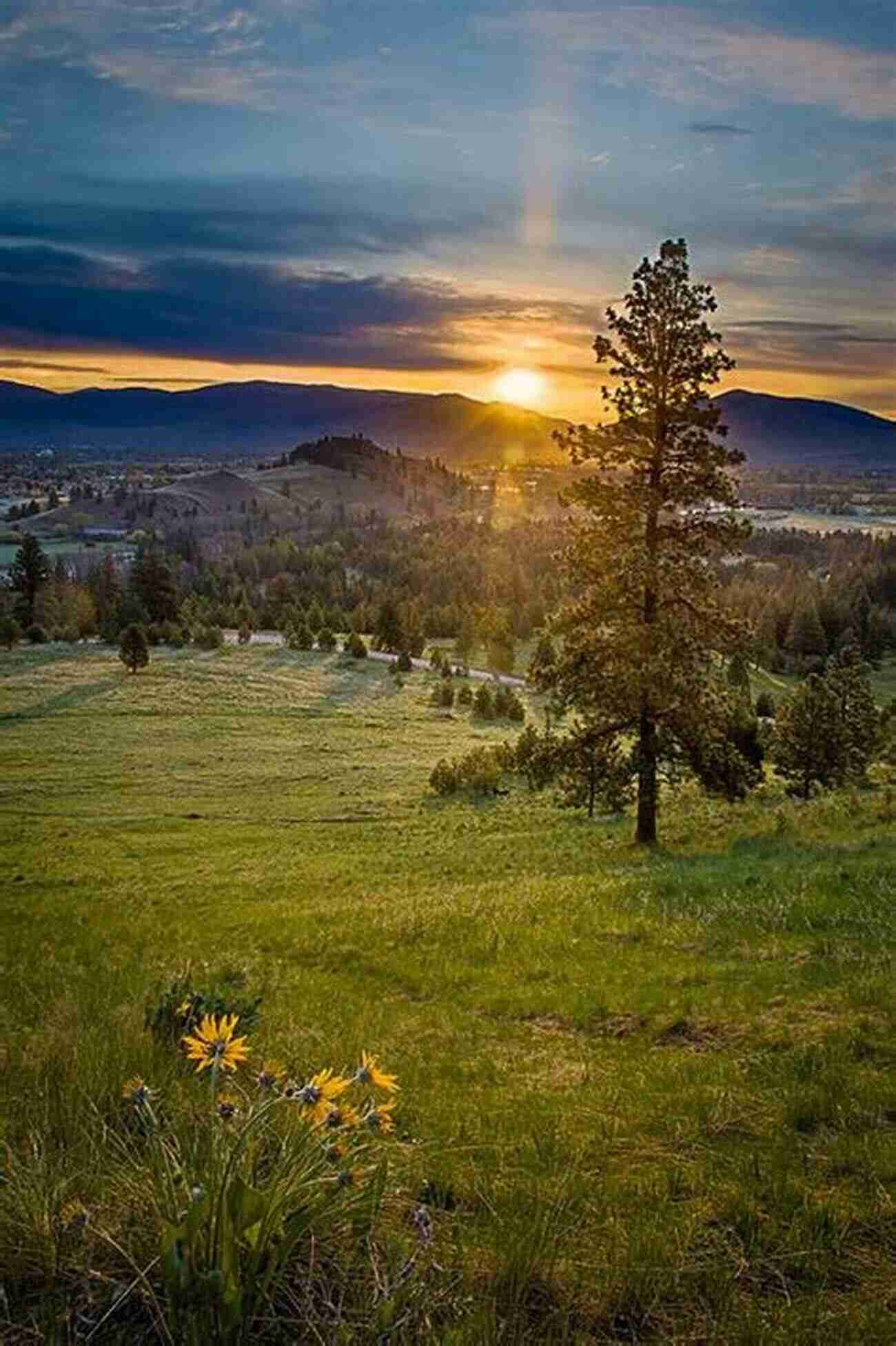 Discover The Natural Beauty Of Missoula, Montana Greater Than A Tourist Missoula Montana USA: 50 Travel Tips From A Local (Greater Than A Tourist Montana)