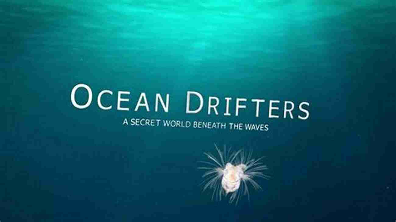 Discover The Mesmerizing Beauty Of Ocean Drifters Ocean Drifters A Secret World Beneath The Waves