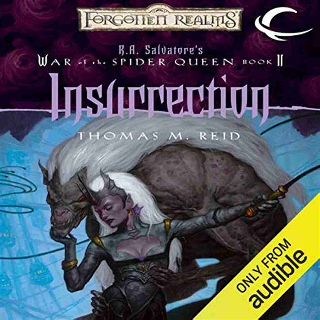 Dissolution: The War Of The Spider Queen Epic Fantasy Adventure Cover Dissolution (The War Of The Spider Queen 1)