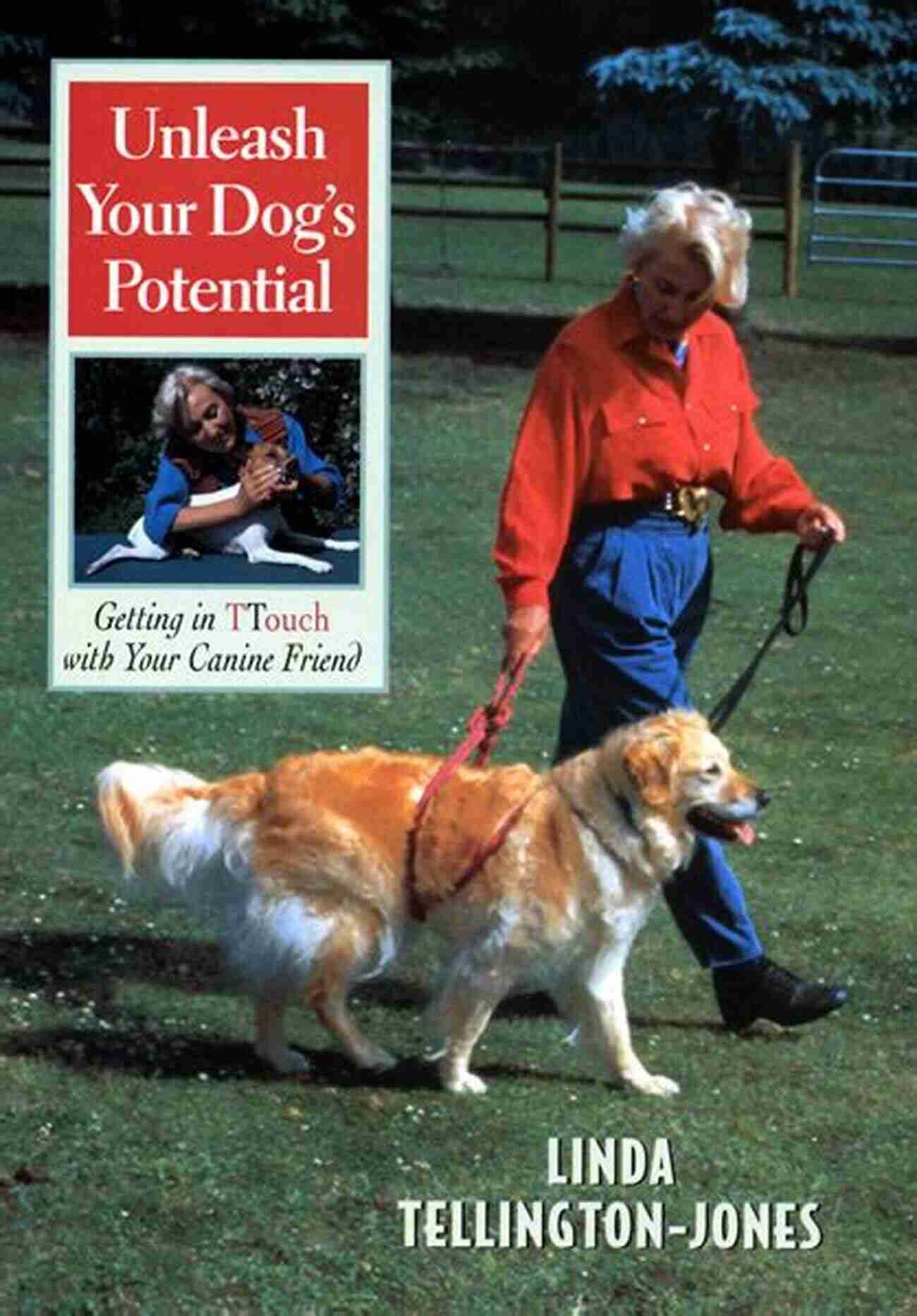 Dog Sense: Unleash Your Dog's Extraordinary Senses Through Play And Interaction Dog Sense Sneed B Collard