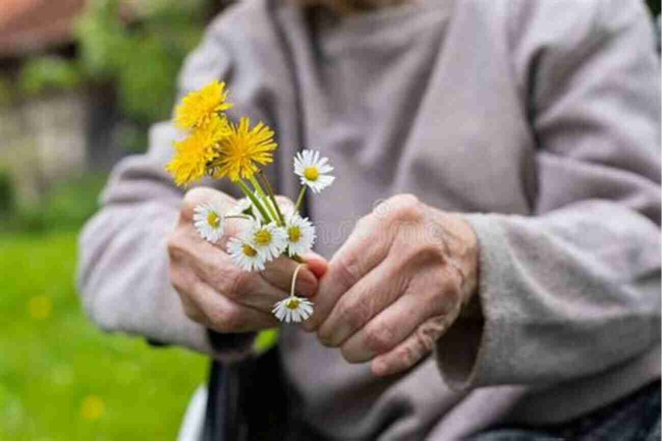 Elderly Hands Holding A Blooming Flower Chicken Soup For The Soul: Age Is Just A Number: 101 Stories Of Humor Wisdom For Life After 60