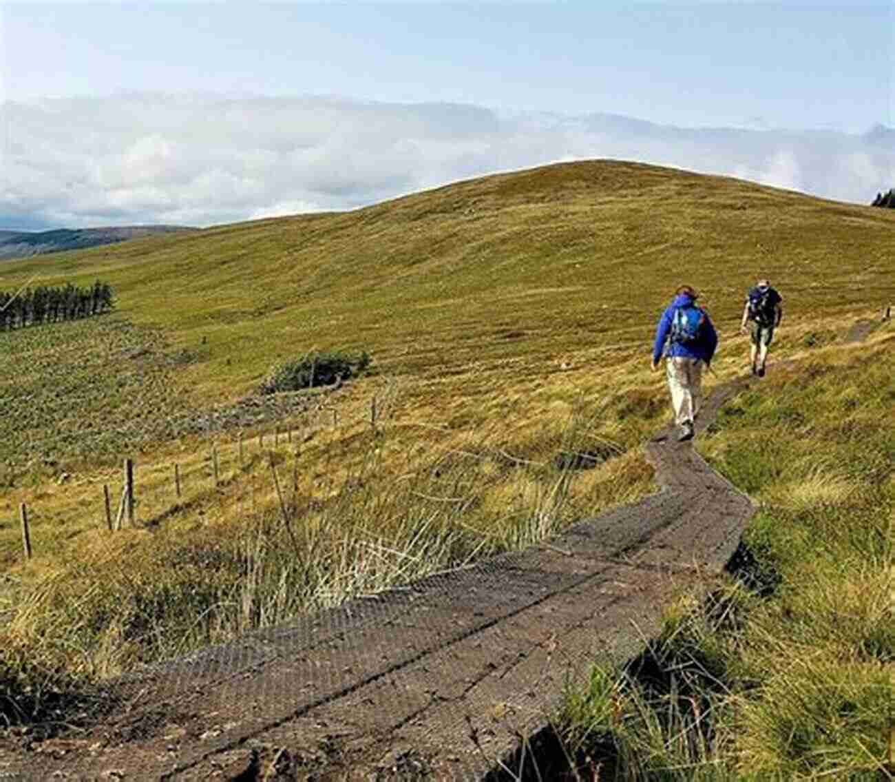 Enjoying The Wicklow Way Trail East Of Ireland Walks (A Walking Guide)