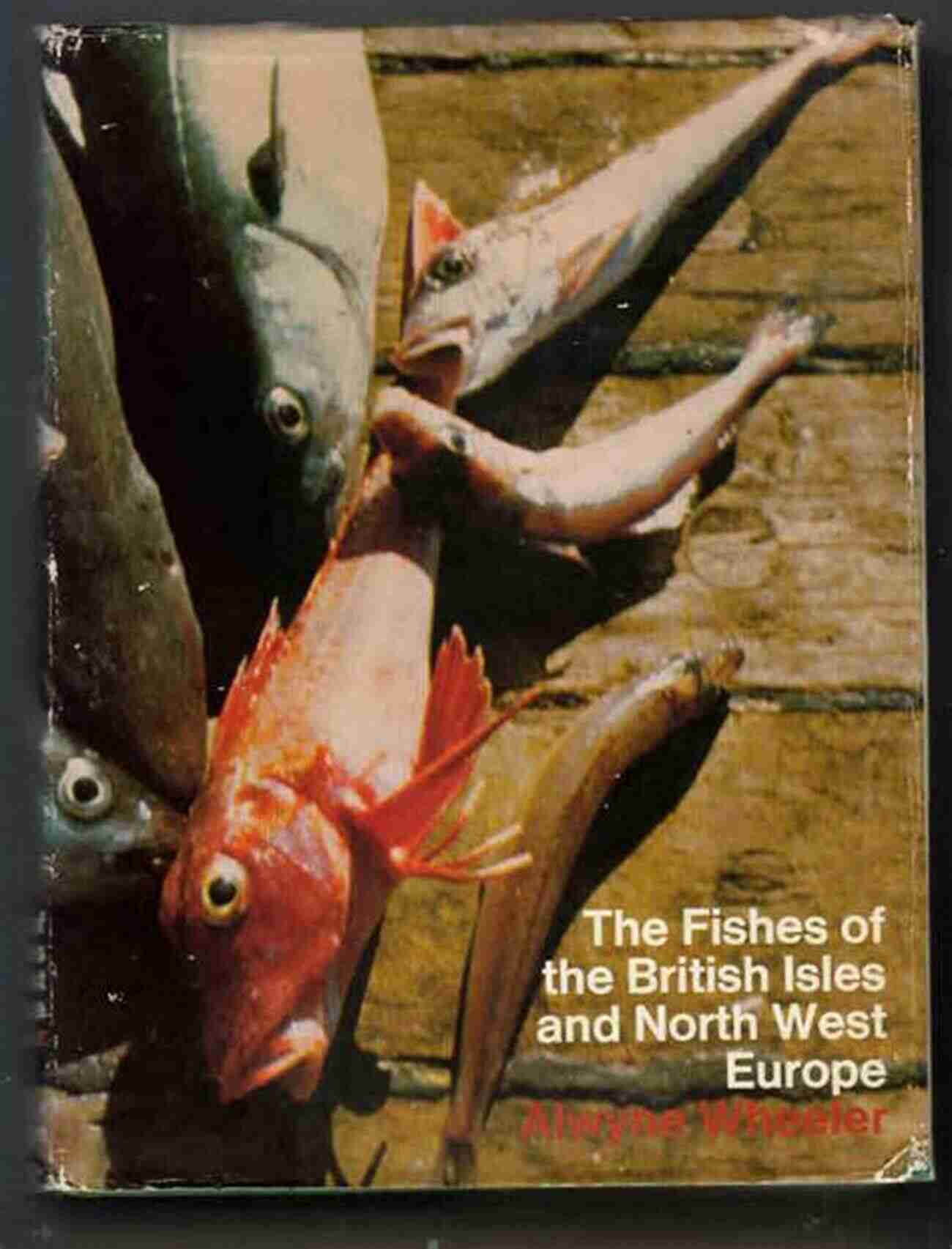 Exploring The Enchanting World Of Freshwater Fish In England Freshwater Fish In England: A Social And Cultural History Of Coarse Fish From Prehistory To The Present Day