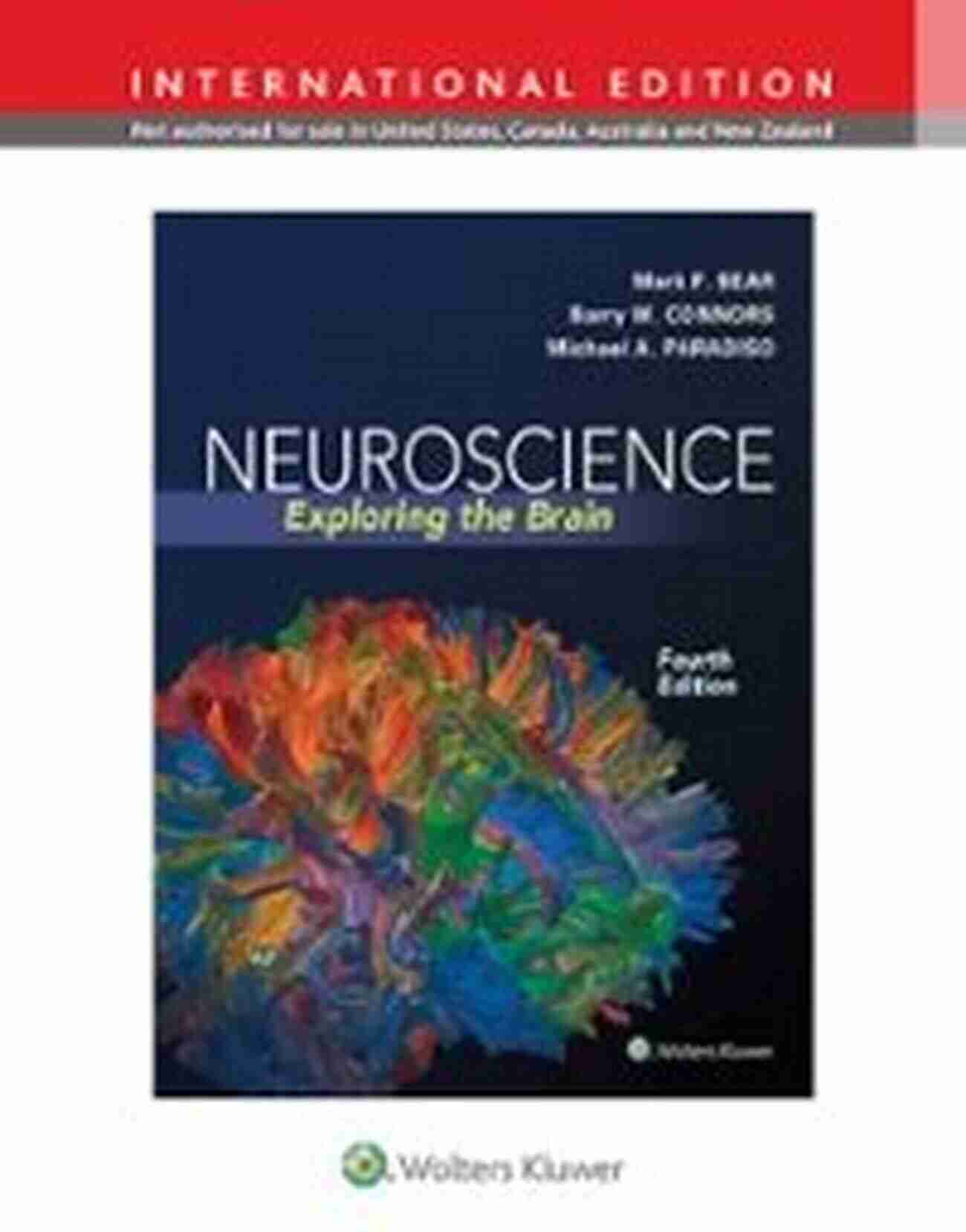 Exploring The Wonders Of Computational Neuroscience At The 4th International Workshop Braincomp 2019 In Cetraro, Italy Brain Inspired Computing: 4th International Workshop BrainComp 2019 Cetraro Italy July 15 19 2019 Revised Selected Papers (Lecture Notes In Computer Science 12339)