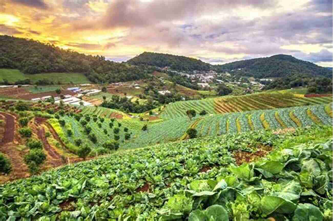 Exploring The Beauty Of Nature On The Sustainable Farm Honey Farm Dreaming: A Memoir About Sustainability Small Farming And The Not So Simple Life