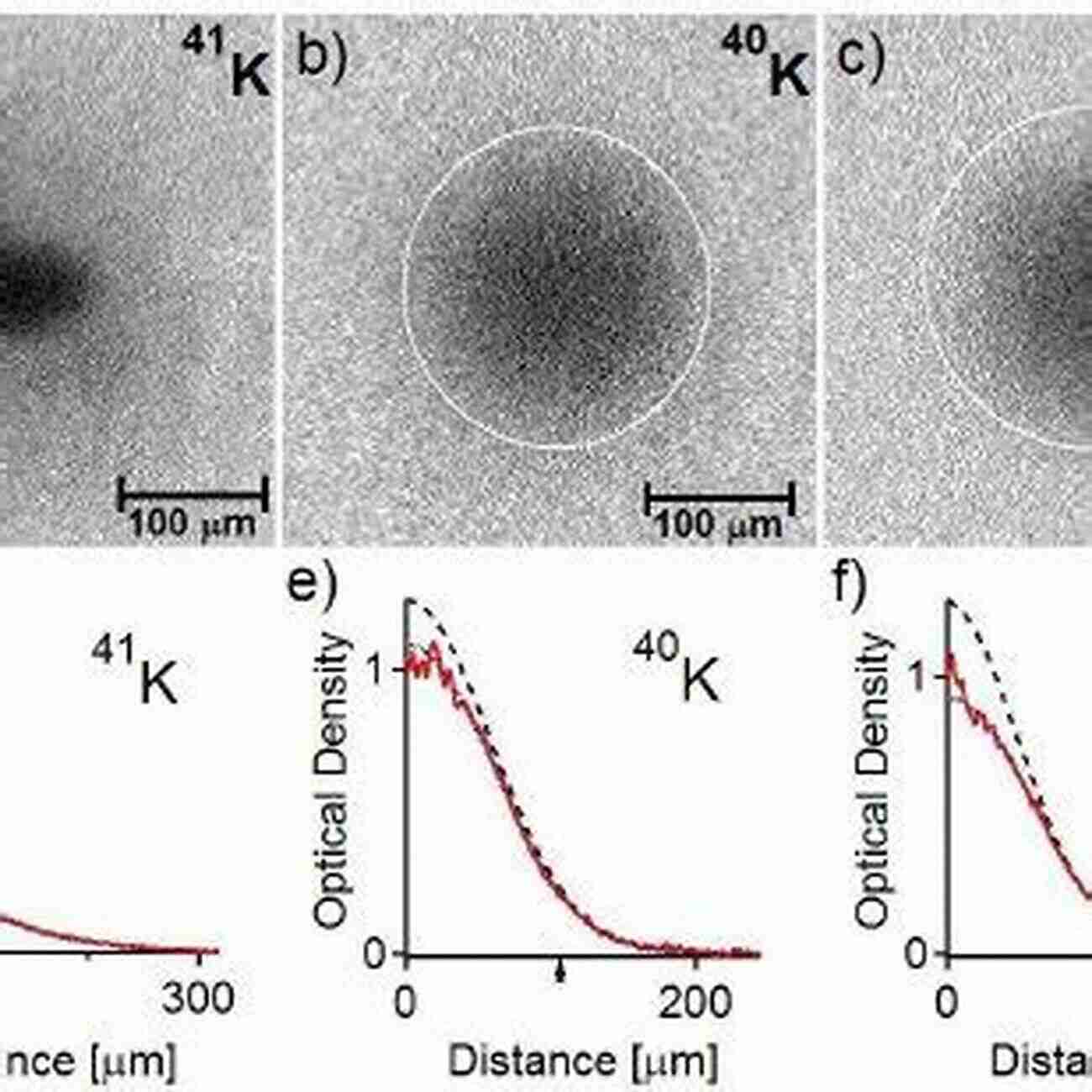 Exploring The Fascinating Behavior Of Degenerate Quantum Gases Phase Space Methods For Degenerate Quantum Gases (International Of Monographs On Physics 163)