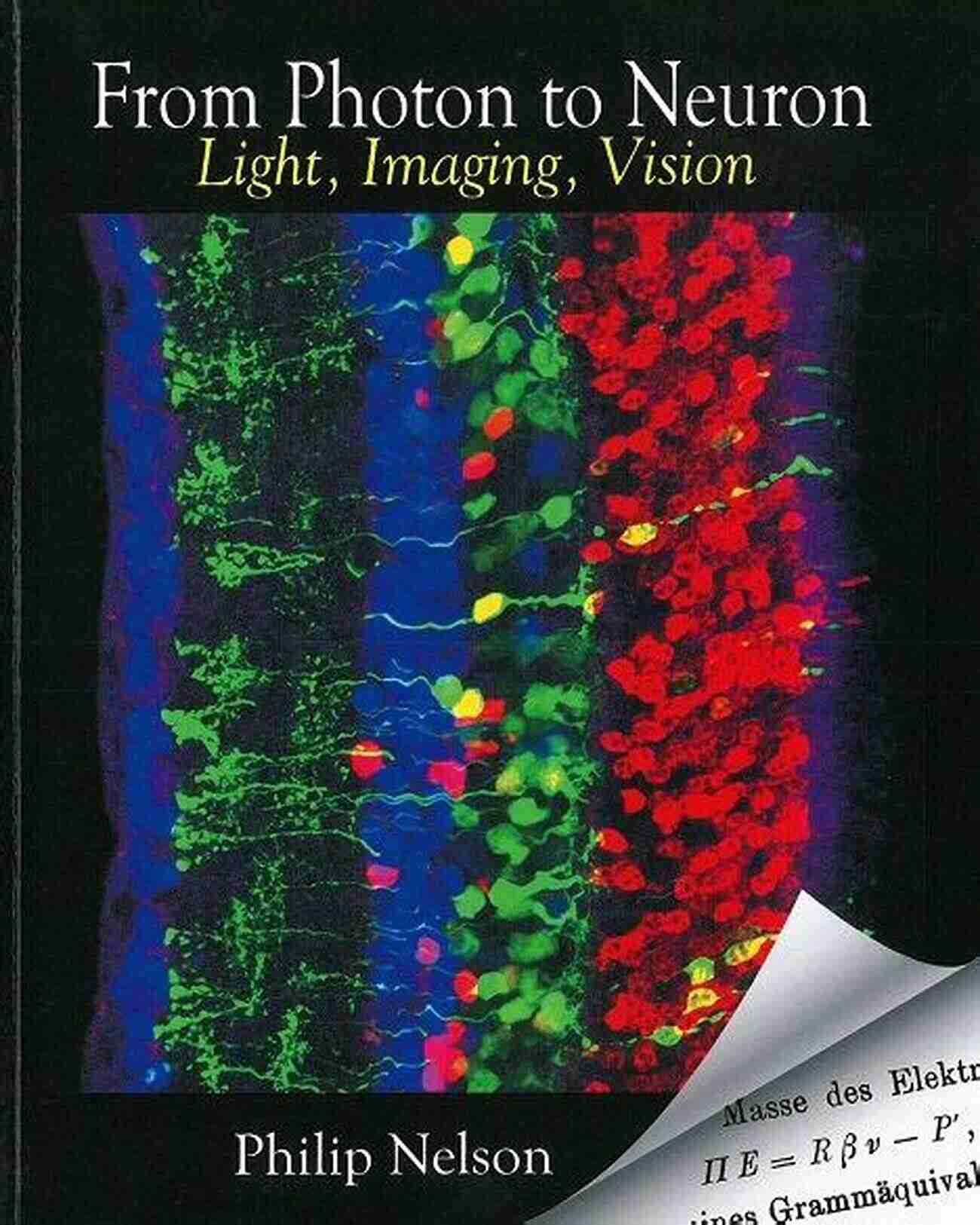 From Photon To Neuron Light Imaging Vision From Photon To Neuron: Light Imaging Vision