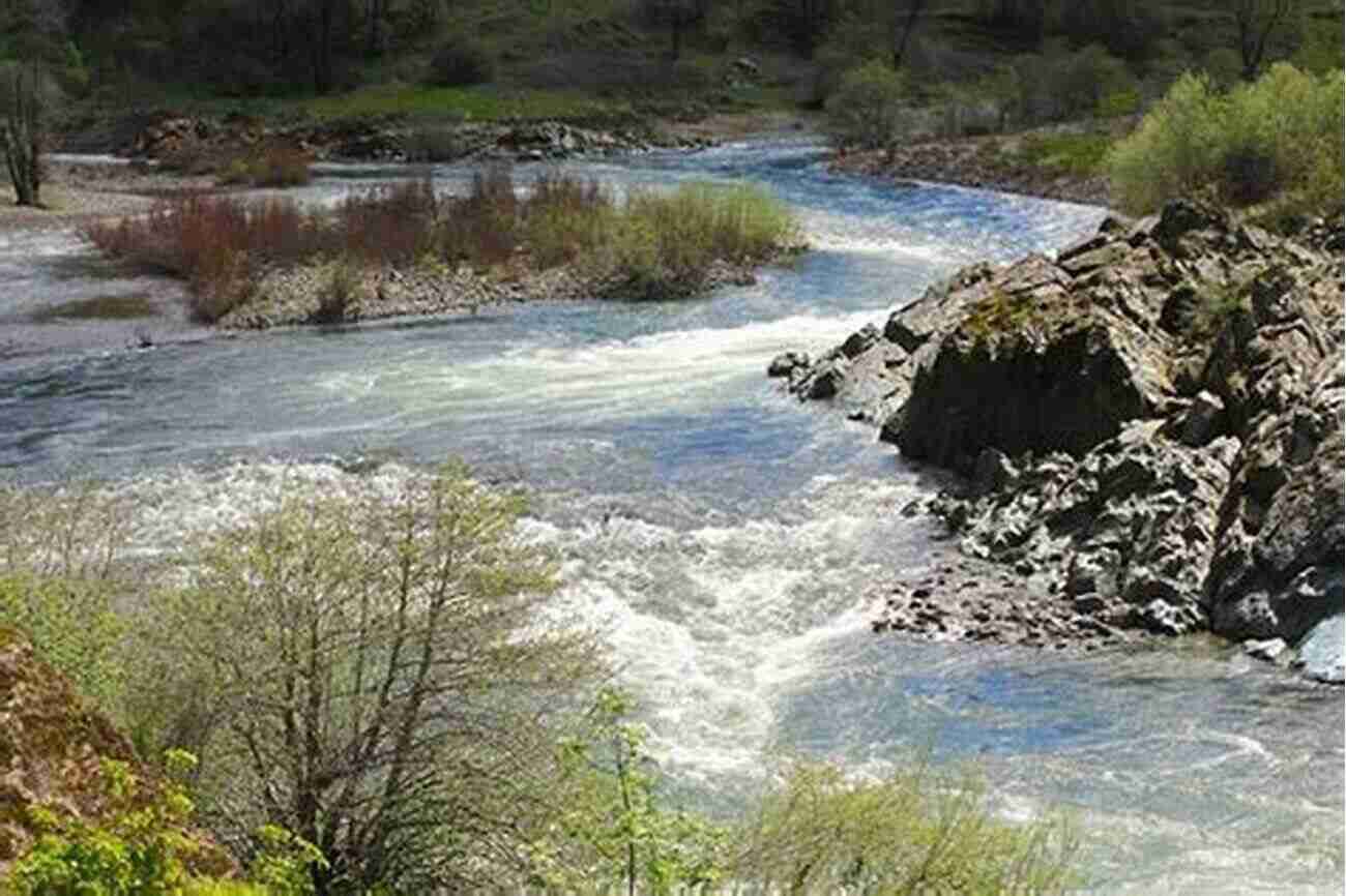 Gorgeous View Of The Auburn State Recreation Area Top Trails: Sacramento: Must Do Hikes For Everyone