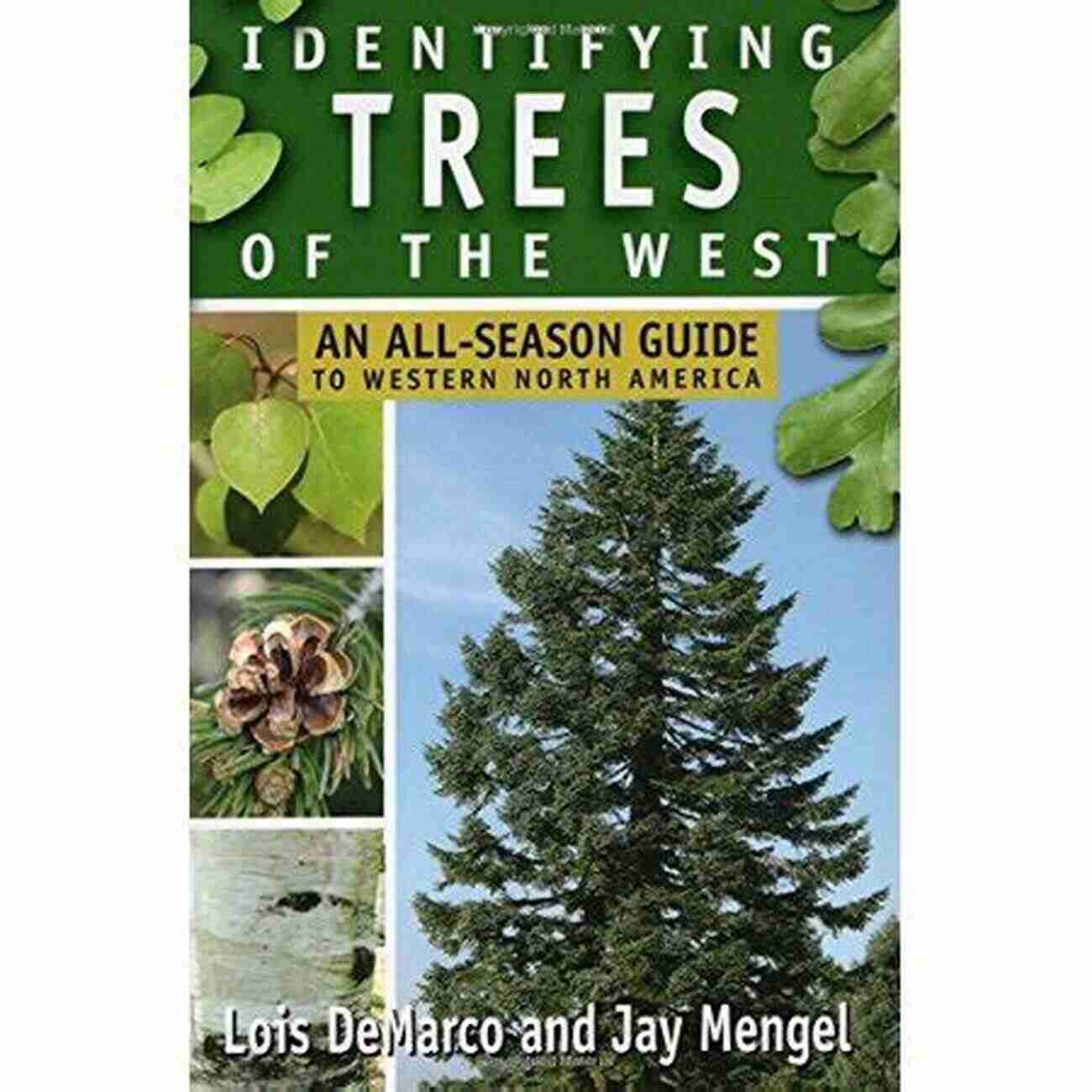 Guide To Identifying Trees Of The West Identifying Trees Of The West: An All Season Guide To Western North America