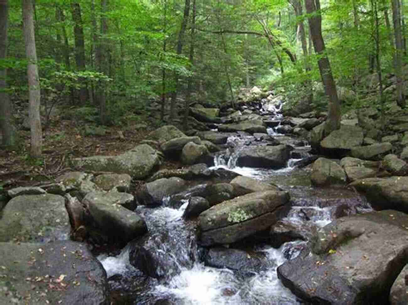 Hacklebarney State Park AMC S Best Day Hikes In New Jersey: Four Season Guide To 50 Of The Best Trails In The Garden State From The Skylands To The Shore