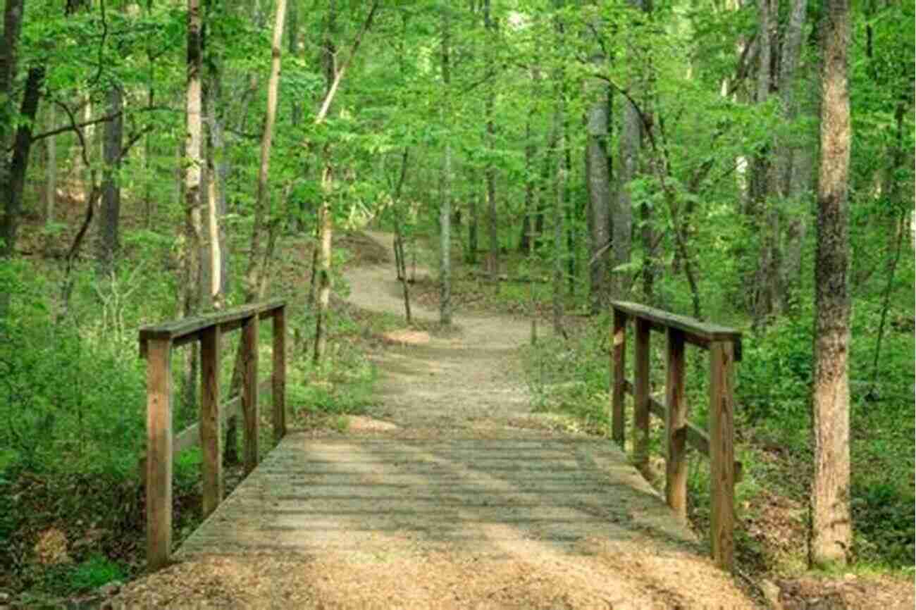 Hamilton County Parks A Haven For Nature Enthusiasts Hamilton County Parks (Images Of America)