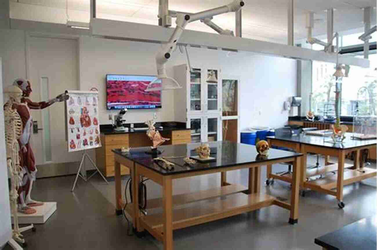 Hands On Learning Experience In The Anatomy Lab Anatomy And Physiology For Students Anatomy And Physiology For Students: A College Level Study Guide For Life Science And Allied Health Majors