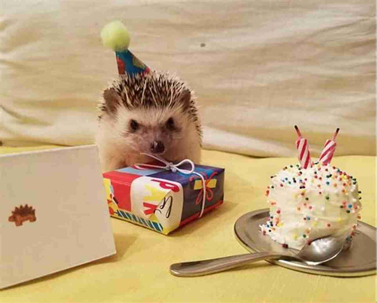 Happy Birthday Hedgehog Celebrating With Friends Happy Birthday Hedgehog : An Acorn (Hello Hedgehog #6)