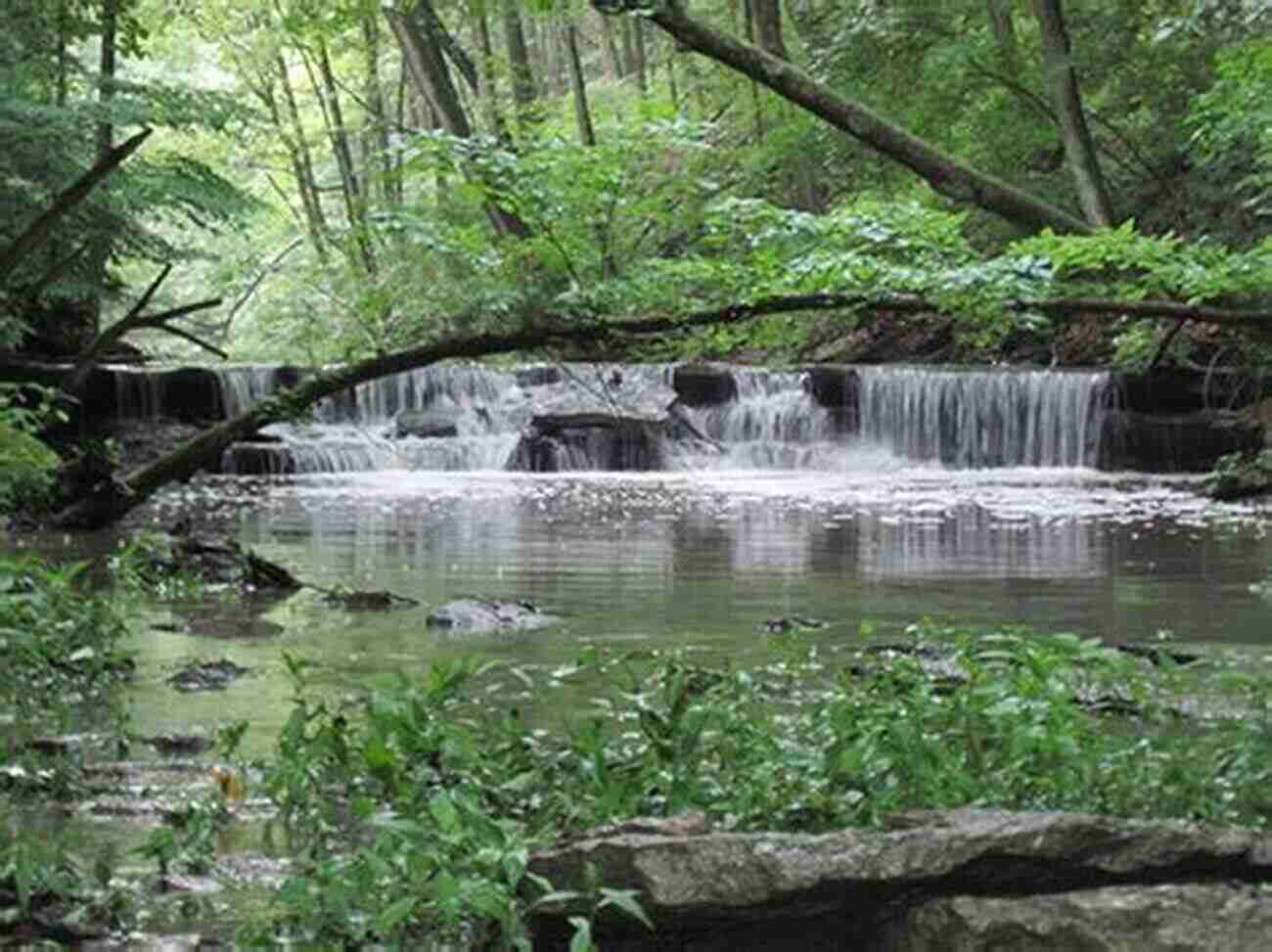 Hidden Gems Of Hamilton County Parks A Visual Extravaganza Hamilton County Parks (Images Of America)