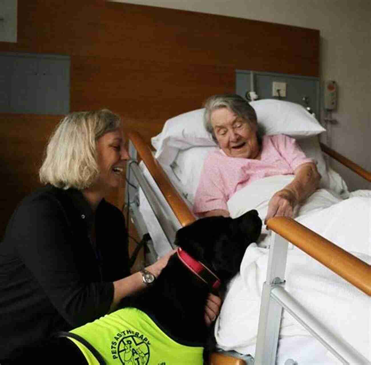 Hospice Dog Finding Joy In Every Moment Where Dogs Go To LIVE : Inspiring Stories Of Hospice Dogs Living In The Moment