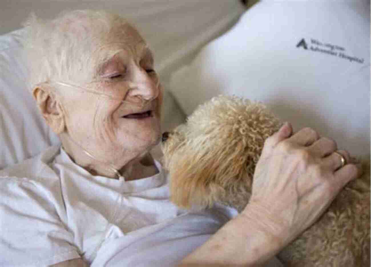 Hospice Dog Forming Unforgettable Bonds Where Dogs Go To LIVE : Inspiring Stories Of Hospice Dogs Living In The Moment