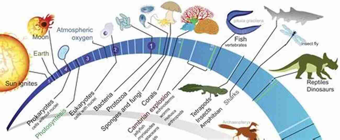 Illustration Of How Life Evolves In A Forward Motion Through Generations Evolutionary Systems And Society: A General Theory