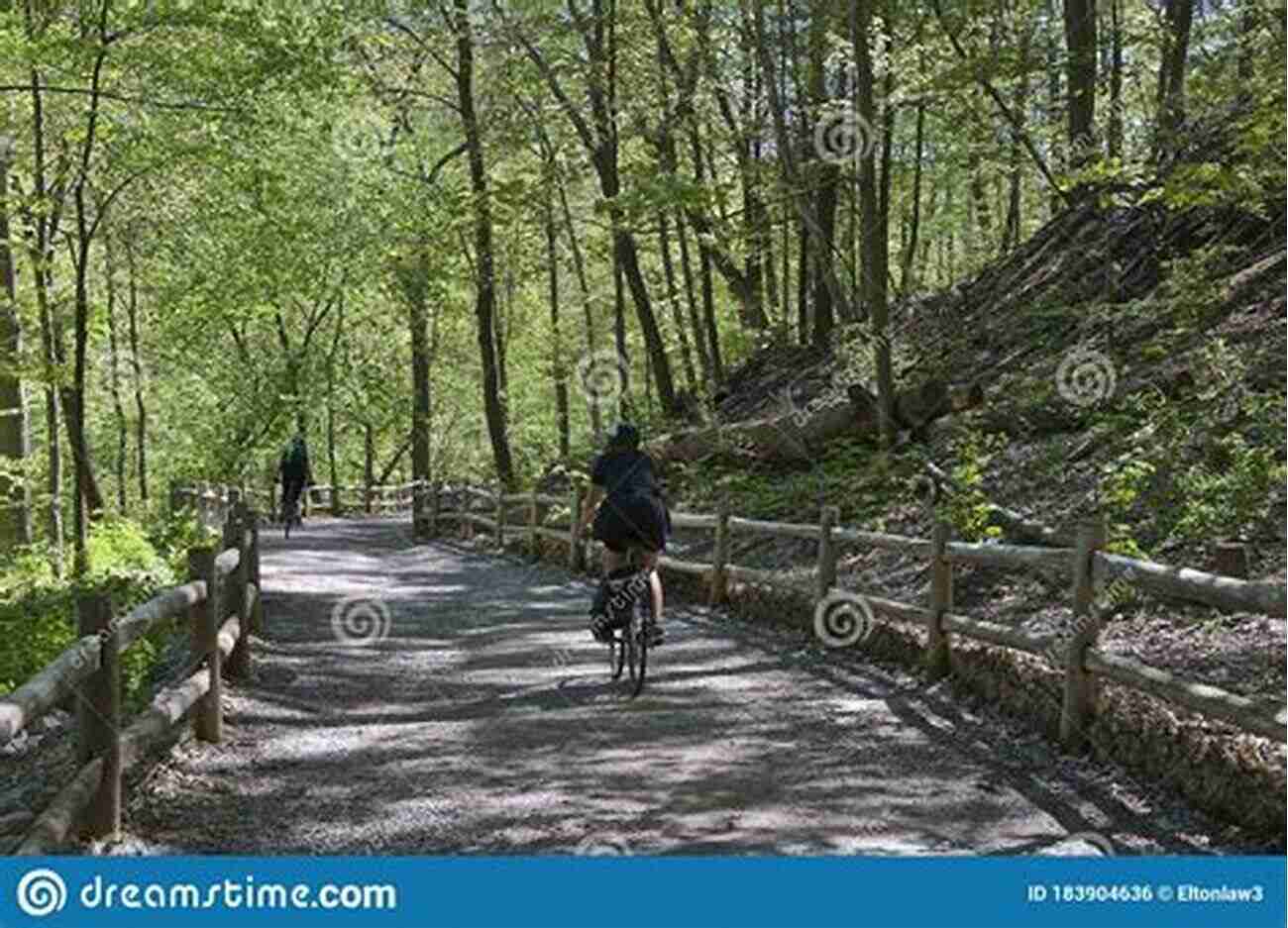 Image Of Cyclists Riding Through A Lush Forest Inhaling The Roads: Somewhere It Began Till The End (Solo Bicyle Rides 1)