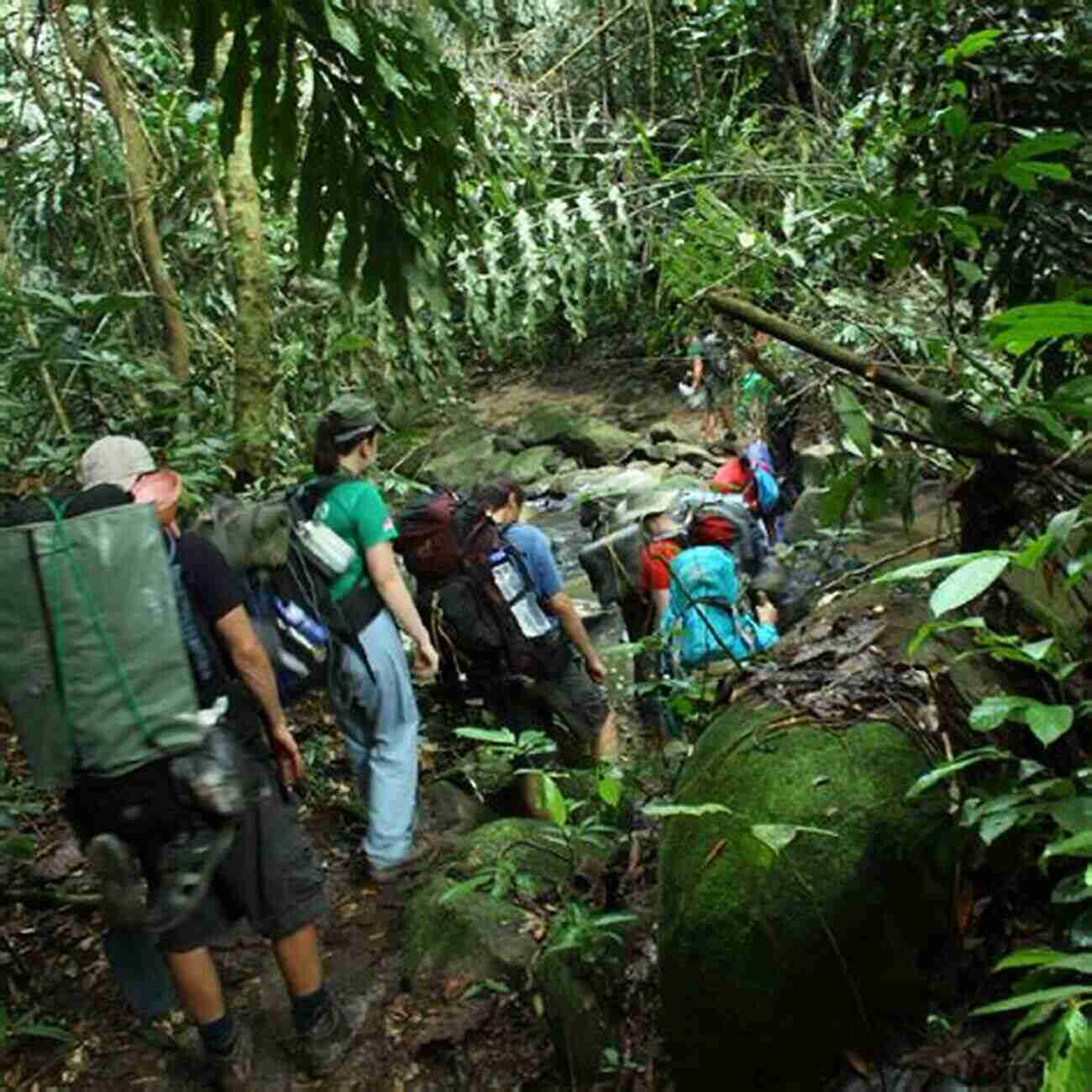 Immersed In Nature: Jungle Trekking In Pursuit Of Skyblind Fehr Skyblind J R Fehr