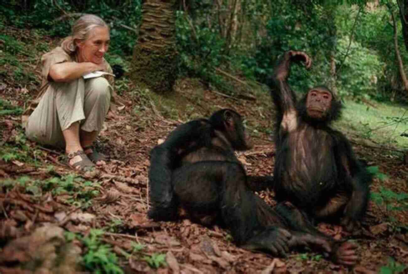 Jane Goodall: Trailblazing Primatologist, A Glimpse Into A Life Of Chimps And Discoveries Mr Tompkins And His Amazing Dinner Guests: Jane Goodall Albert Einstein And Charles Darwin